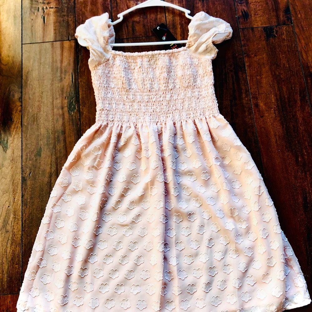 Delia’s light pink XXSmall floral dress